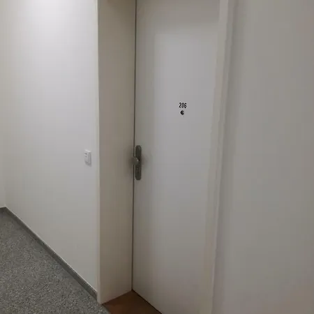 Am Zwingerteich Dresde